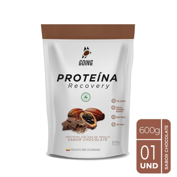 Tarro con 20 porciones – Proteína vegana – Sabor Chocolate