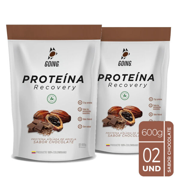 2 Tarros con 20 porciones - Proteína vegana - Sabor Chocolate